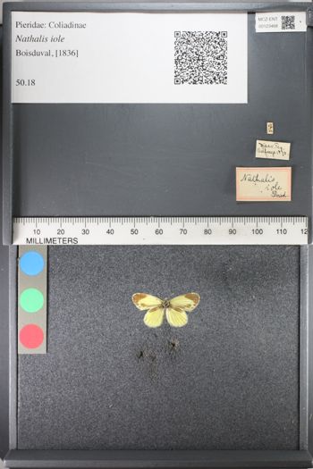 Media type: image;   Entomology 123468